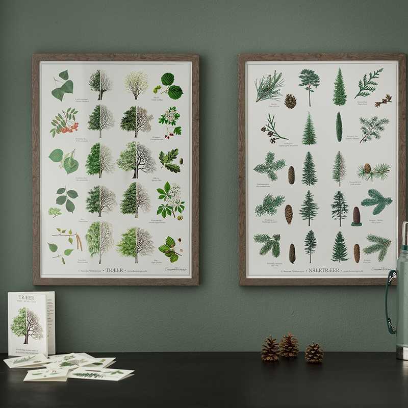 36304324 1865323740157248 6192368407241818112 O 36304324 1865323740157248 6192368407241818112 O